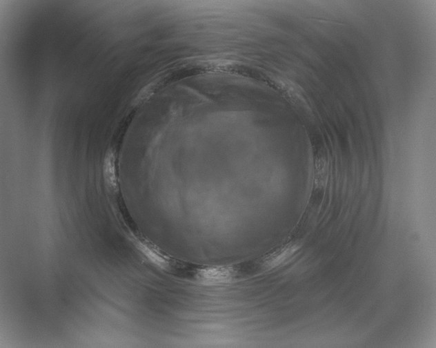 X0000075900238200609291740