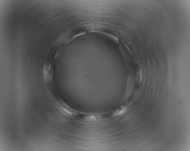 X0000075900239200609291740