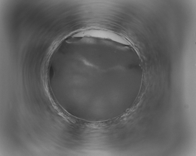 X0000075900241200609291739