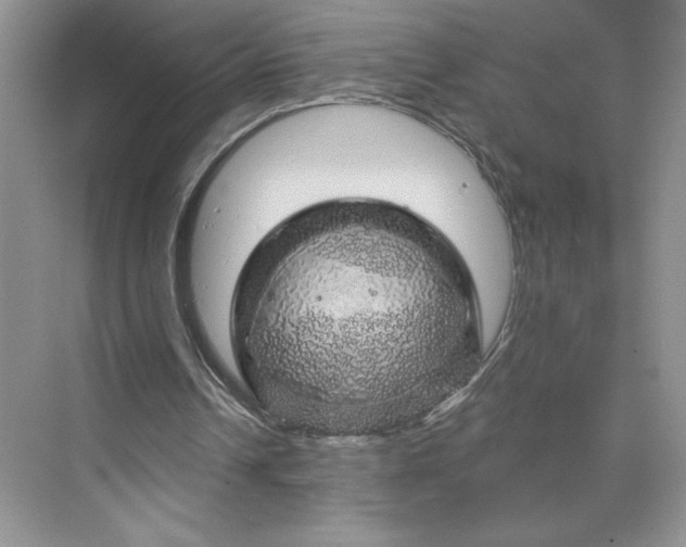 X0000075900242200609291739