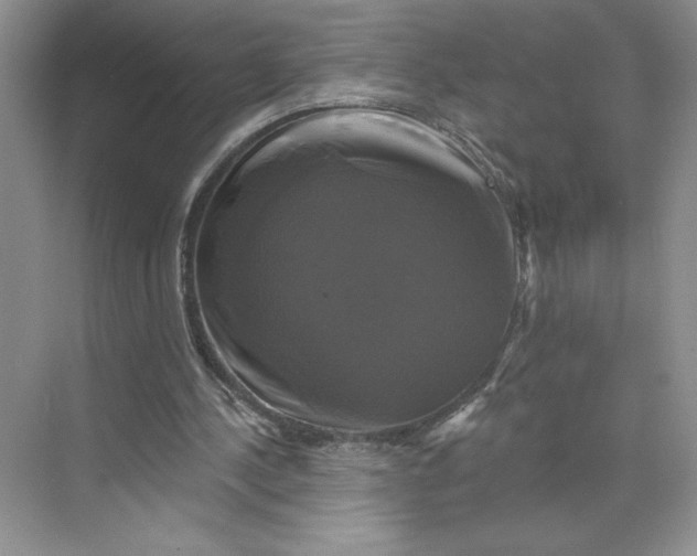 X0000075900244200609291739