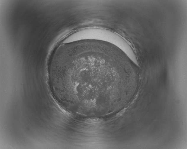 X0000075900245200609291739