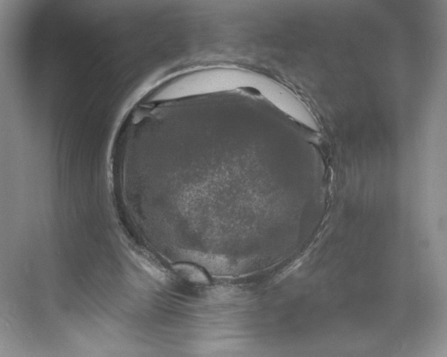 X0000075900246200609291739