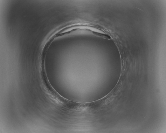 X0000075900247200609291739