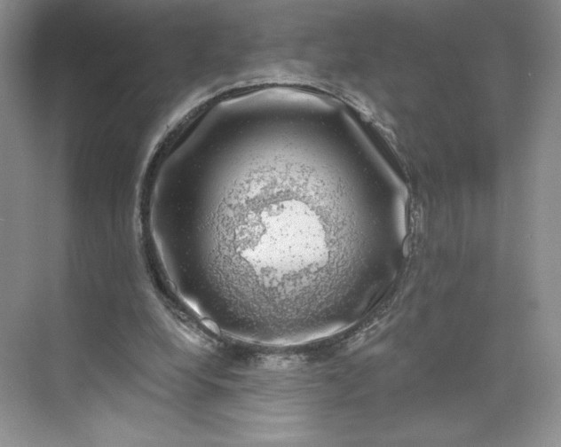 X0000075900248200609291739