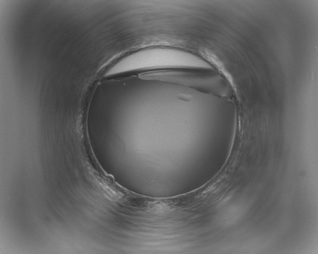 X0000075900249200609291739