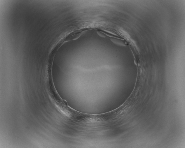 X0000075900250200609291739