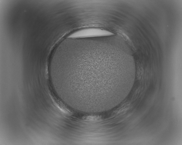 X0000075900251200609291739