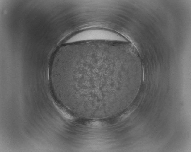 X0000075900253200609291739