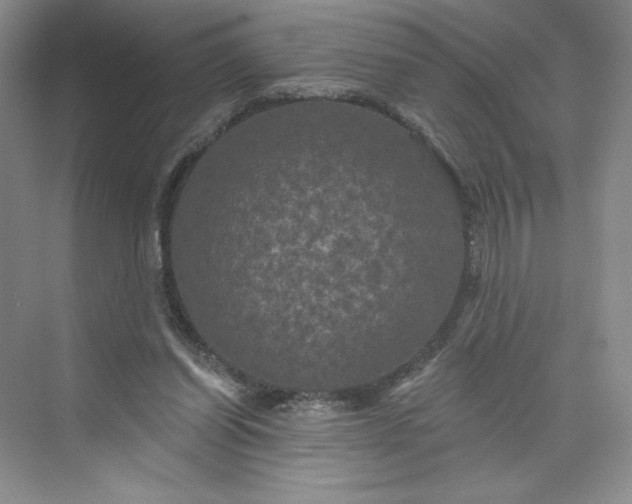 X0000075900254200609291739