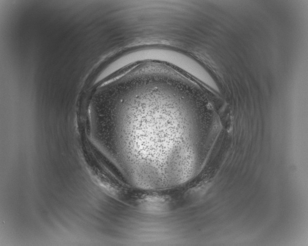 X0000075900256200609291739