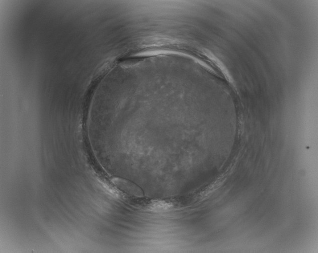 X0000075900257200609291739