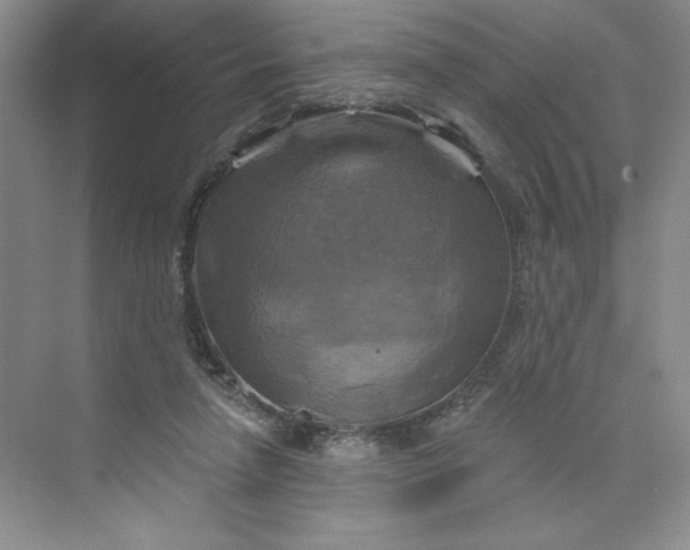 X0000075900258200609291739