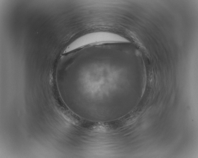 X0000075900259200609291739