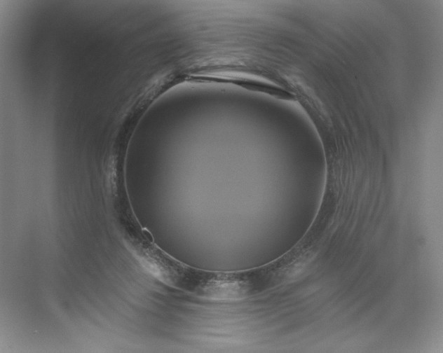 X0000075900260200609291739