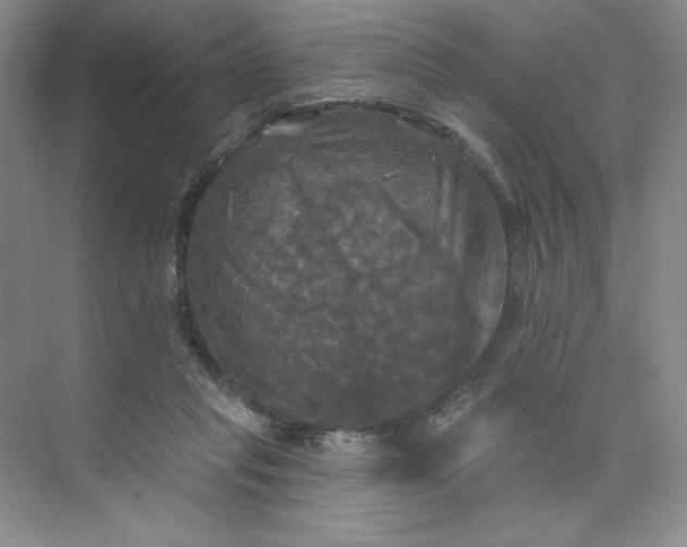 X0000075900261200609291739