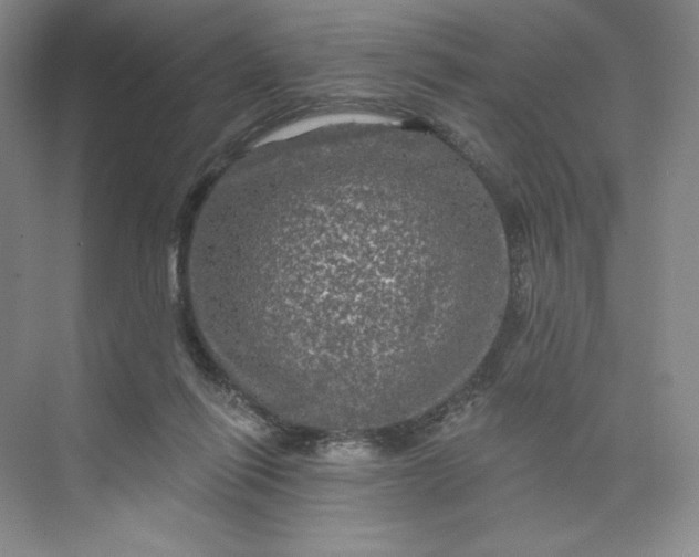 X0000075900262200609291739