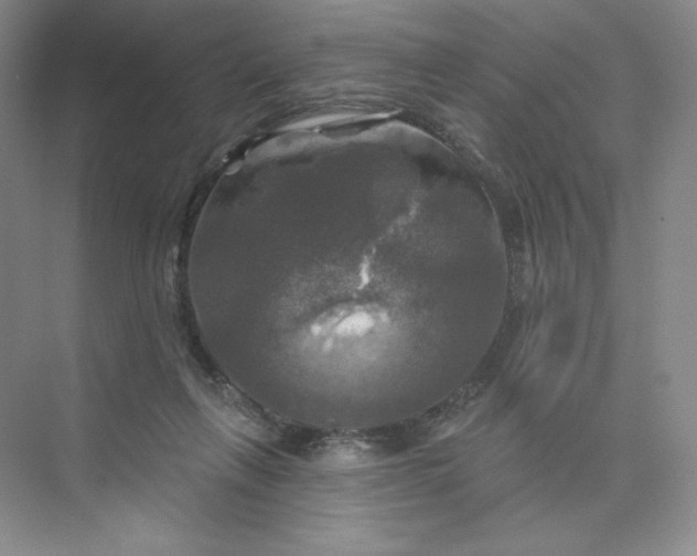 X0000075900263200609291739