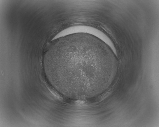 X0000075900265200609291739