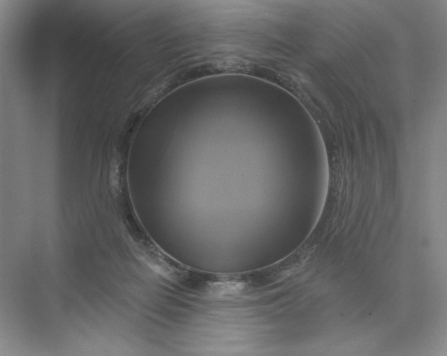 X0000075900266200609291739