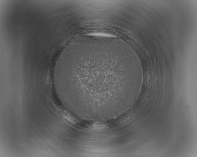 X0000075900270200609291739