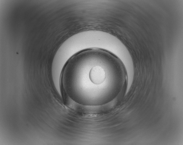 X0000075900276200609291740