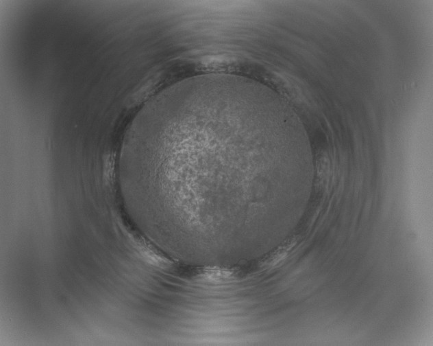 X0000075900278200609291740