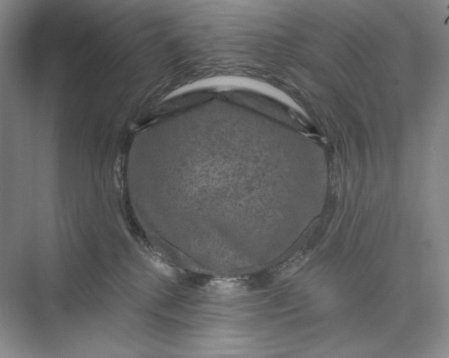 X0000075900280200609291740