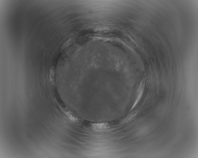 X0000075900281200609291740