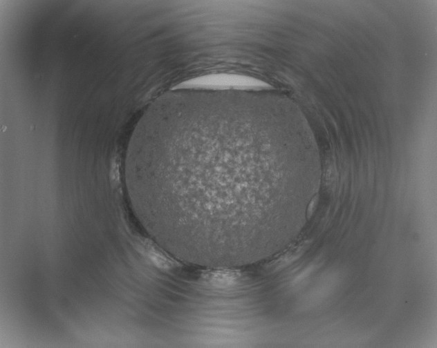 X0000075900282200609291740