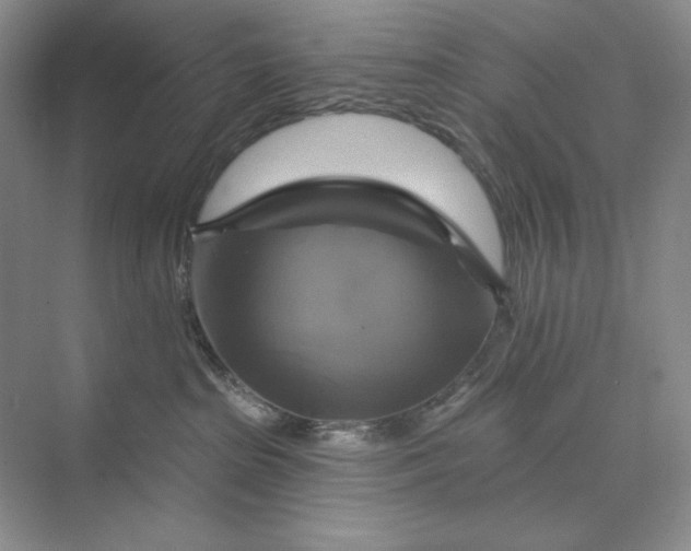 X0000075900285200609291740