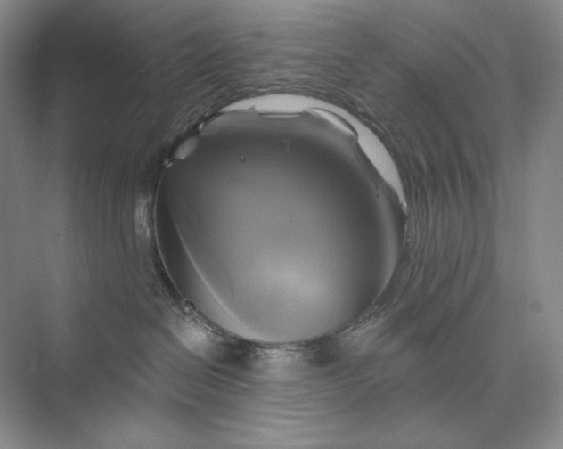 X0000075900286200609291740