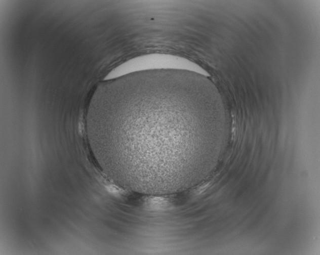 X0000075900287200609291740