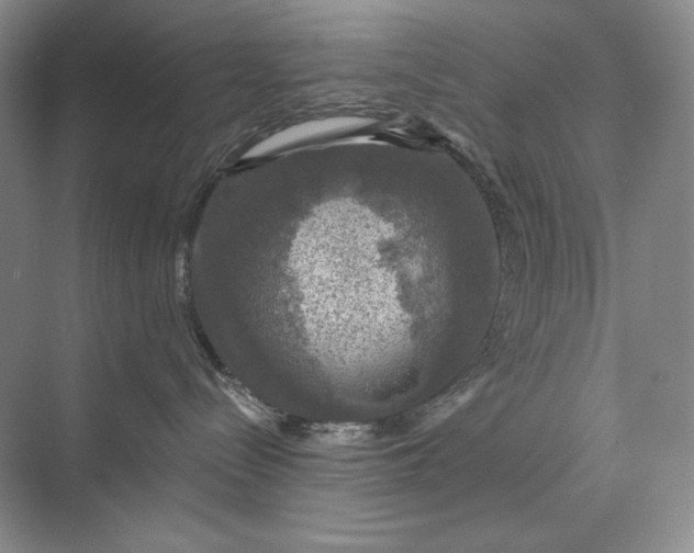 X0000075900288200609291740