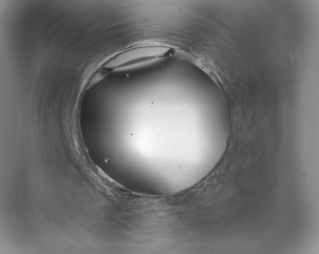 X0000075900289200609291739