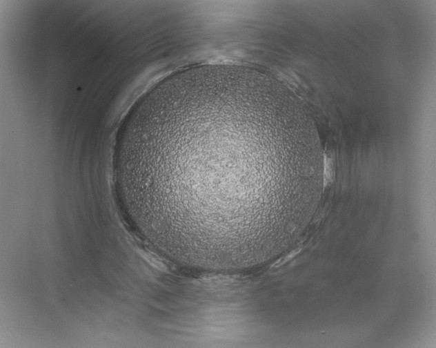 X0000075900291200609291739