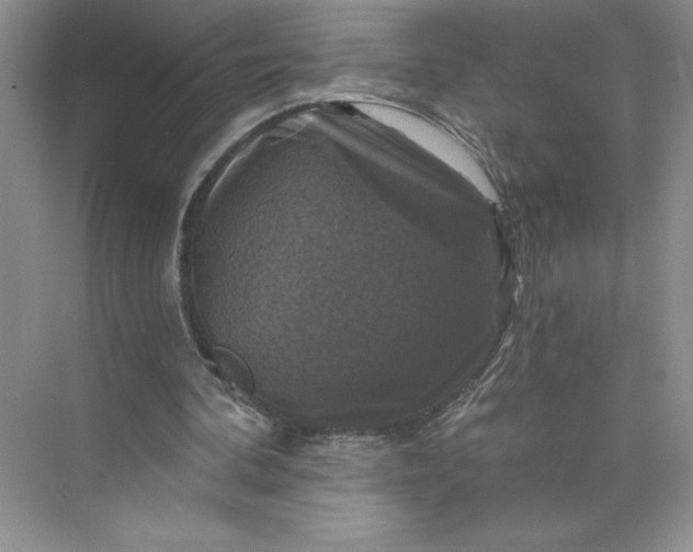 X0000075900292200609291739