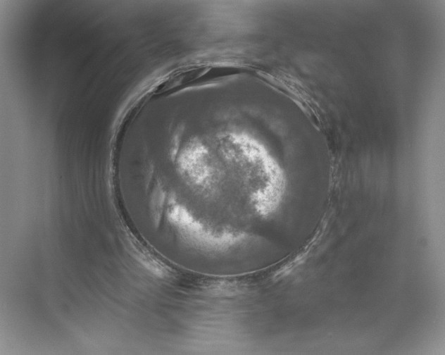 X0000075900293200609291739