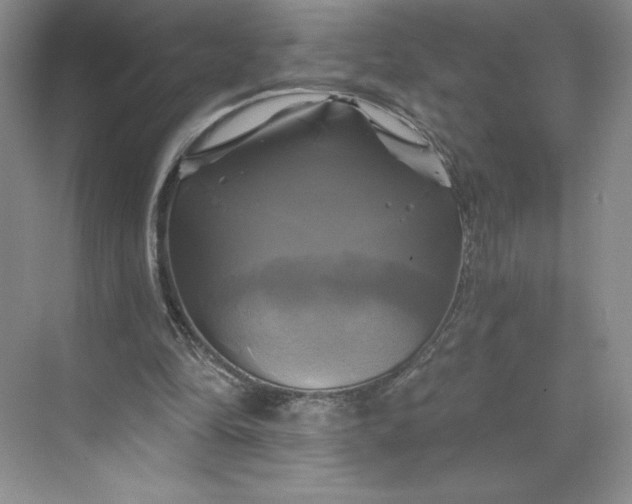 X0000075900294200609291739