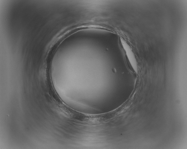 X0000075900295200609291739