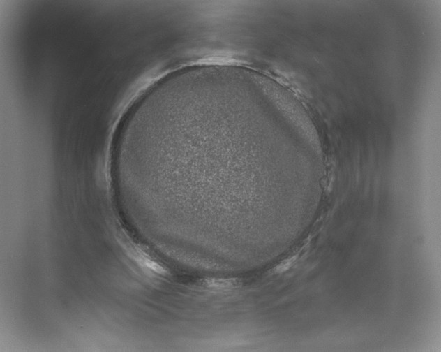 X0000075900296200609291739