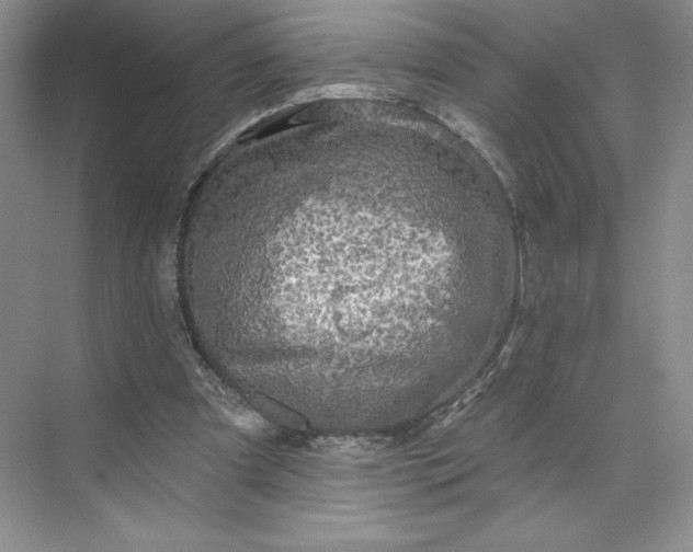 X0000075900297200609291739