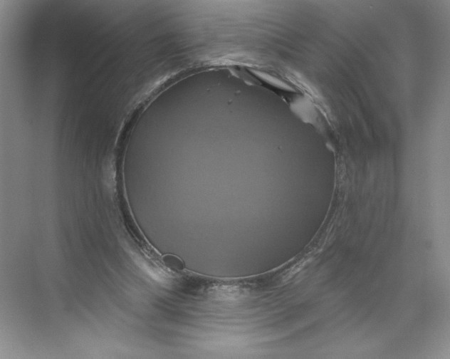 X0000075900298200609291739