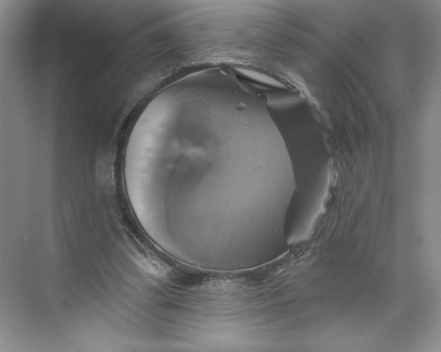 X0000075900299200609291739