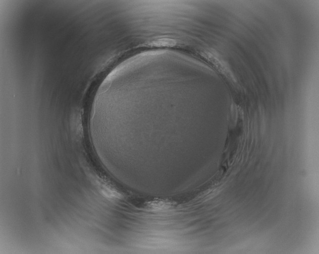 X0000075900300200609291739