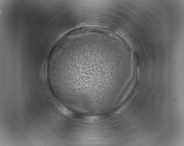 X0000075900301200609291739