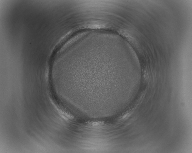 X0000075900304200609291739