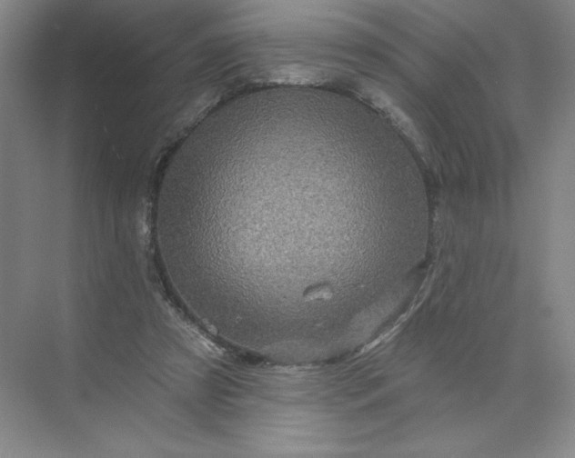 X0000075900305200609291739