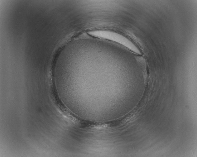 X0000075900306200609291739