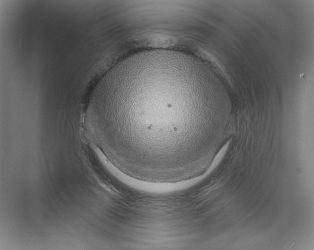 X0000075900307200609291739